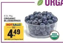 Food Lion Organic Blueberries offer