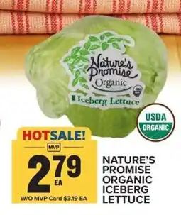 Food Lion NATURE'S PROMISE ORGANIC ICEBERG LETTUCE offer