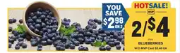 Food Lion Blueberries offer