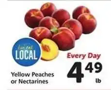 Safeway Yellow Peaches or Nectarines offer
