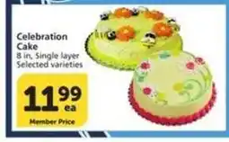 Albertsons Celebration Cake offer