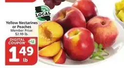 Albertsons Yellow Nectarines or Peaches offer