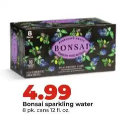 Hy-Vee Bonsai Sparkling Water offer