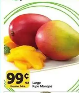 Albertsons Large Ripe Mangos offer