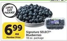 Albertsons Signature Select Blueberries offer
