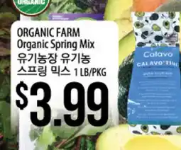Hmart ORGANIC FARM Organic Spring Mix offer
