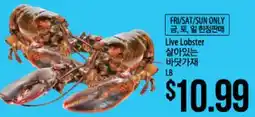 Hmart Live Lobster offer