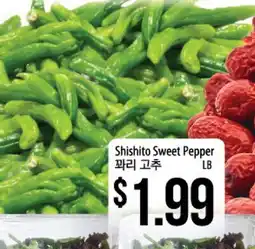 Hmart Shishito Sweet Pepper offer