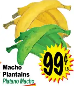 Superior Grocers Macho Plantains offer