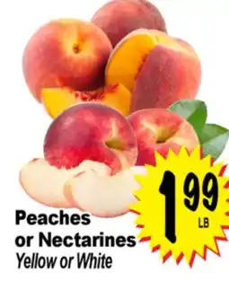 Superior Grocers Peaches or Nectarines offer