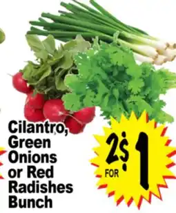 Superior Grocers Onions or Red or Red Radishes offer