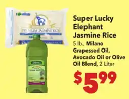 Vallarta Supermarkets Super Lucky Elephant Jasmine Rice 5 lb., Milano Grapessed Oil, Avocado Oil or Olive Oil Blend offer