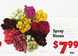 Vallarta Supermarkets Spray Roses offer