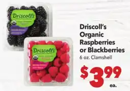 Vallarta Supermarkets Driscoll's Organic Raspberries or Blackberries offer