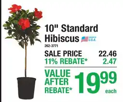 Menards 10 Standard Hibiscus offer