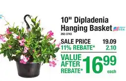 Menards 10 Dipladenia Hanging Basket offer