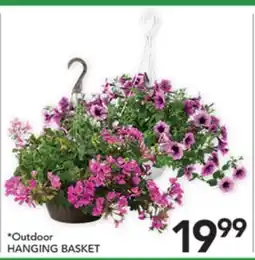 Pete's Fresh Market Outdoor HANGING BASKET offer