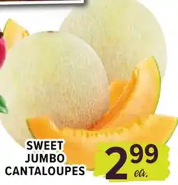 Cermak Fresh Market SWEET JUMBO CANTALOUPES offer