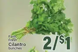 Angelo Caputo's Fresh Market Farm Fresh Cilantro bunches offer
