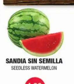 Carnicerias Jimenez SANDIA SIN SEMILLA offer