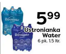 Rich's Fresh Market Ustronianka Water offer