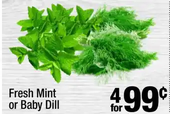 Super King Markets Fresh Mint or Baby Dill offer