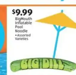 Aldi BigMouth Inflatable Pool Noodle offer