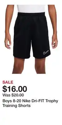 Kohl's Boys 8-20 Nike Dri-FIT Trophy Training Shorts offer