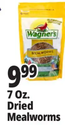 Ocean State Job Lot 7 Oz. Dried Mealworms offer