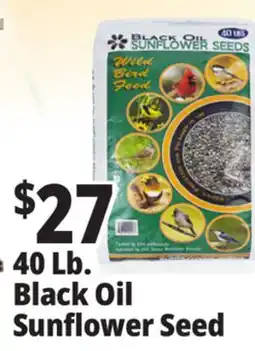 Ocean State Job Lot 40 Lb. Sunflower Seed offer