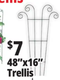 Ocean State Job Lot 48x16 Trellis offer