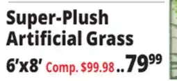 Ocean State Job Lot Super-Plush Artificial Grass offer