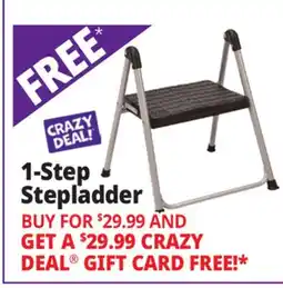 Ocean State Job Lot 1-Step Stepladder offer