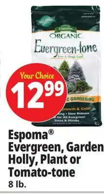 Ocean State Job Lot Espoma Evergreen, Garden Holly, Plant or Tomato-tone offer