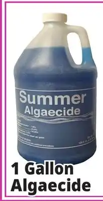 Ocean State Job Lot 1 Gallon Algaecide offer