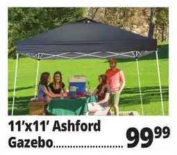 Ocean State Job Lot 11'x11' Ashford Gazebo offer