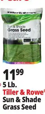 Ocean State Job Lot 5 Lb. Tiller & Rowe Sun & Shade Grass Seed offer