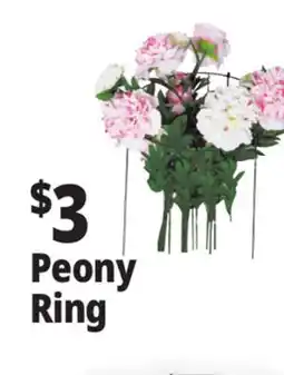 Ocean State Job Lot Peony Ring offer
