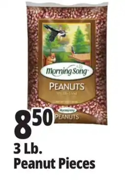 Ocean State Job Lot 3 Lb. Peanut Pieces offer