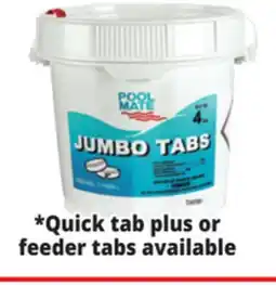 Ocean State Job Lot 4 Lb. 3 Jumbo Tabs offer
