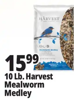 Ocean State Job Lot 10 Lb. Harvest Mealworm Medley offer