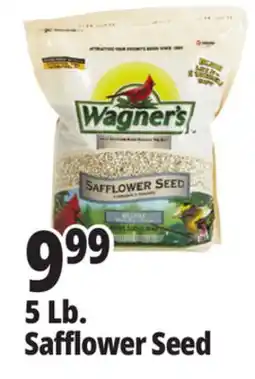 Ocean State Job Lot 5 Lb. Safflower Seed offer