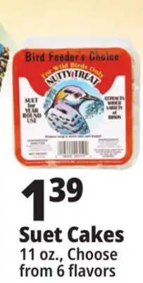 Ocean State Job Lot Suet Cakes offer