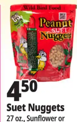 Ocean State Job Lot Suet Nuggets offer