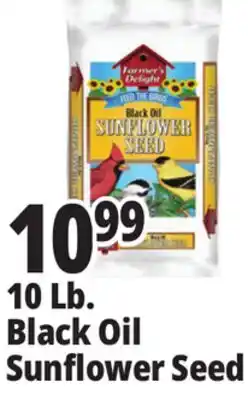 Ocean State Job Lot 10 Lb. Black Oil Sunflower Seed offer