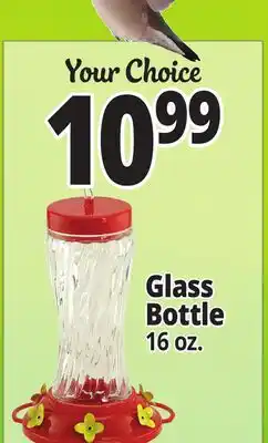 Ocean State Job Lot Glass Bottle offer