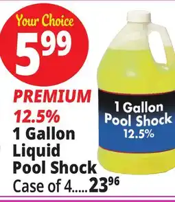 Ocean State Job Lot 1 Gallon Liquid Pool Shock offer