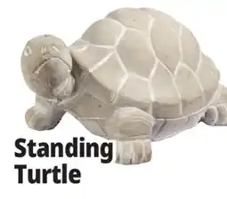 Ocean State Job Lot Standing Turtle offer