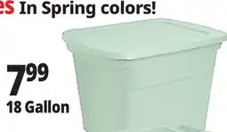 Ocean State Job Lot Storage Boxes In Spring colors! offer