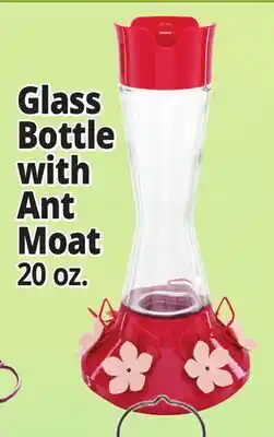 Ocean State Job Lot Glass Bottle with Ant Moat offer